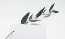 Featured image of post 统计学分析思维